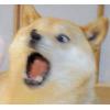 장*