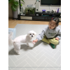 정*경