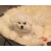 정*수