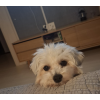 김*린
