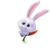 박*우