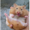 이*건