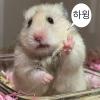 장*인