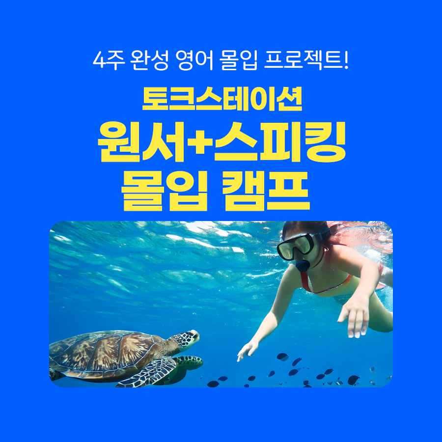 프로모션 제목