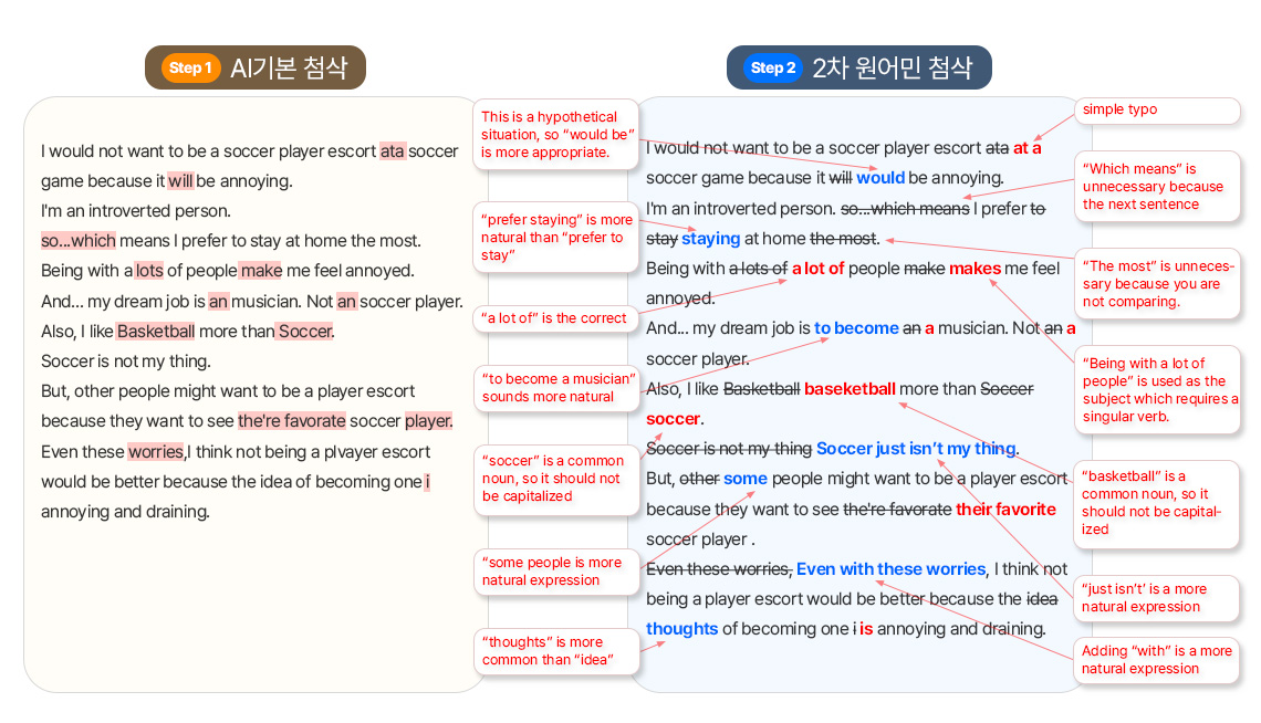 Story Writing 첨삭 상세 내용